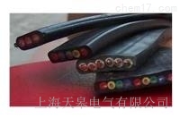 天皋電氣扁電纜、扁平電纜生產(chǎn)廠家