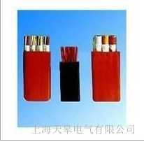 天皋電氣扁電纜-扁平軟電纜生產(chǎn)廠家